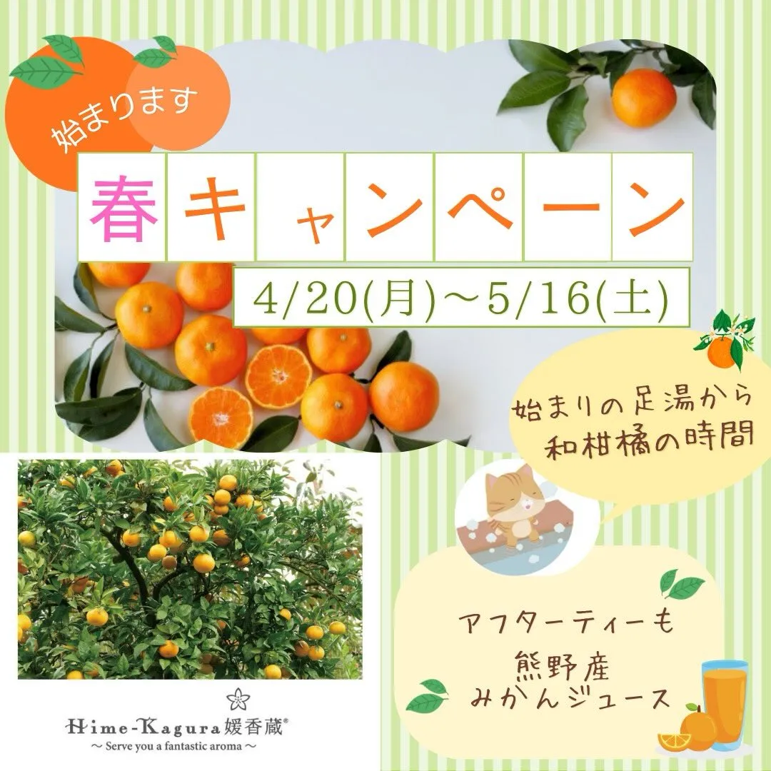 春のキャンペーンは