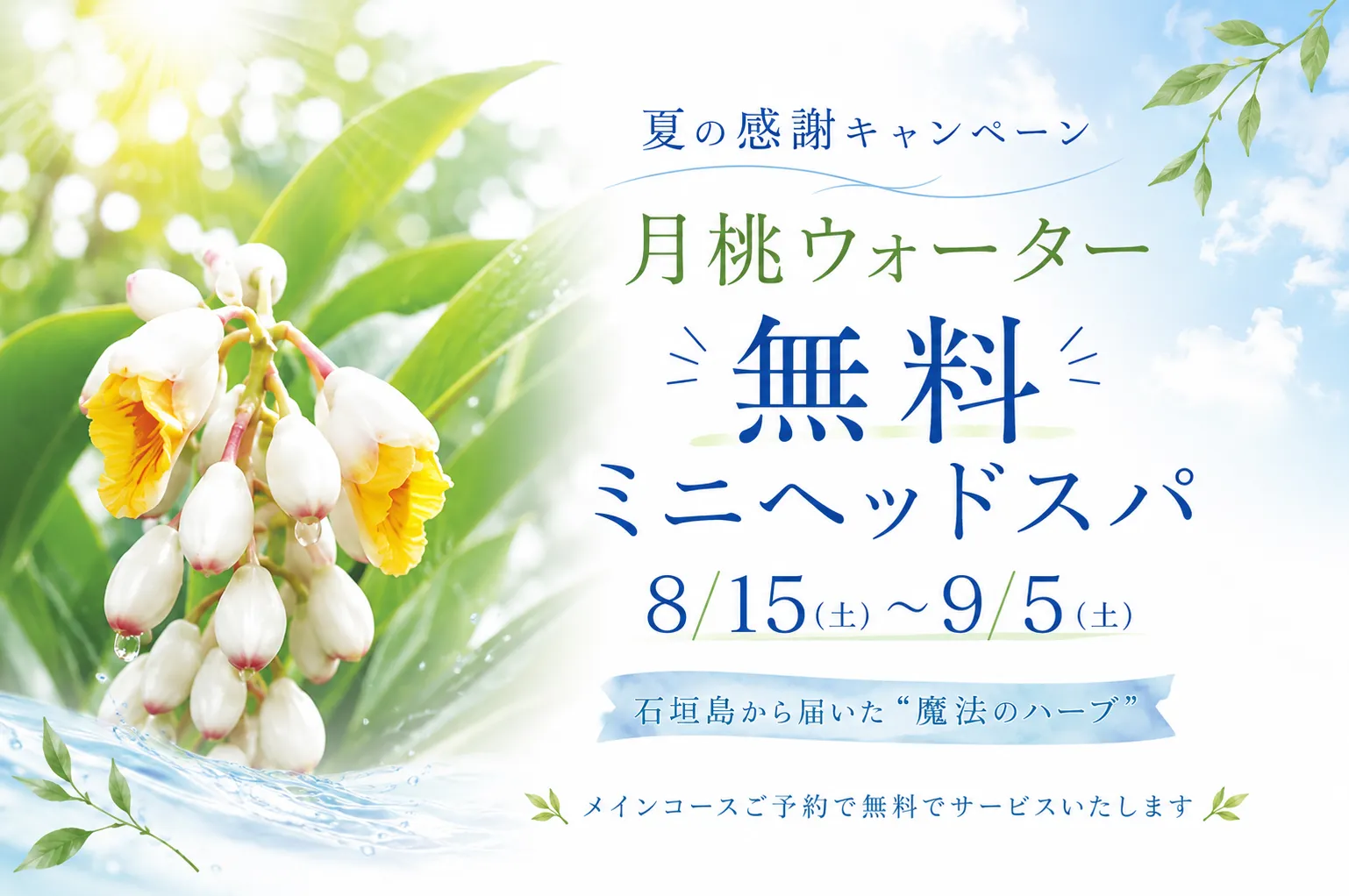 夏の熱さを癒す月桃のヘッドスパオプション無料キャンペーン!